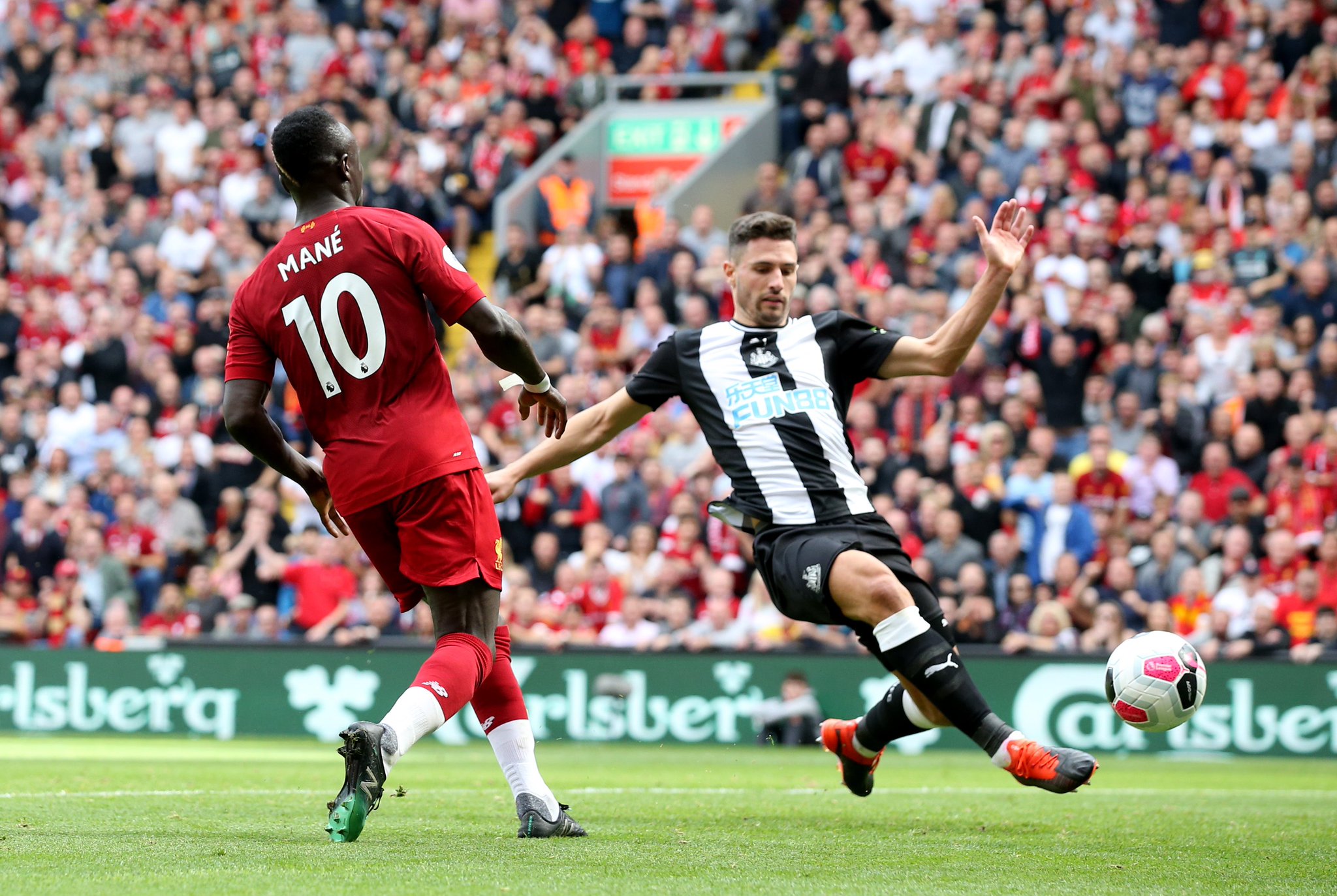 如鱼得水 如鱼得水